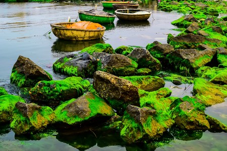 Natural green moss at beach rock with blue sea at Ly Son island, vietnamの写真素材