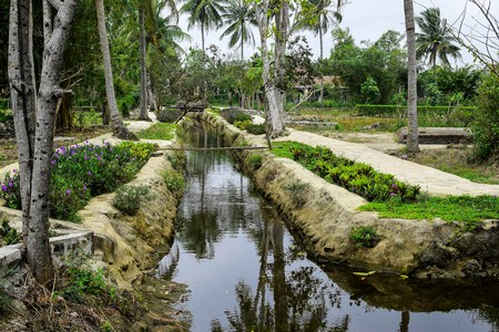 Son My, Vietnam - March 23, 2016: The My Lai Massacre memorial site. The My Lai massacre was the Vietnam War mass killing of between 347 and 504 unarmed civilians in South Vietnam on March 16, 1968.のeditorial素材