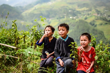 MU CANG CHAI, VIETNAM, September 16, 2016 Hmong group of children, highland Mu Cang Chaiのeditorial素材
