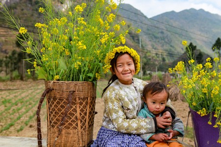 DONG VAN, HA GIANG, VIETNAM, January 01, 2017: Unidentified ethnic minority kids with baskets of rapeseed flower in Hagiang, Vietnam. Hagiang is a northernmost province in Vietnamのeditorial素材