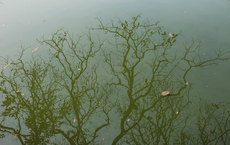 Hoan Kiem Lake, Ha Noi, Vietnamの写真素材