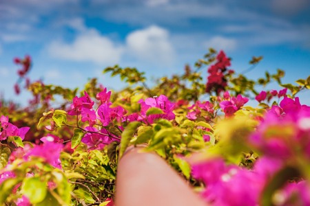 HOI AN, VIETNAM - MARCH 19, 2017: Terra cotta museum in the Thanh Ha Pottery Village. The village was formed at the end of the 15th century, by the Thu Bon river, Quang Nam, Vietnam.のeditorial素材