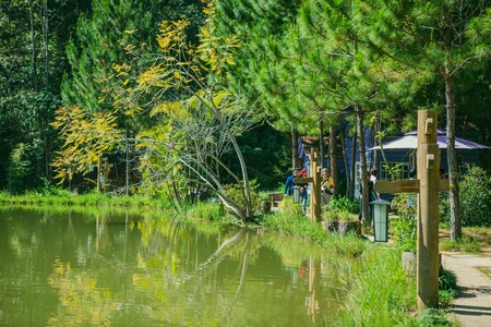 DALAT, VIETNAM - February 17, 2017: Homestay Ma Rung Lu Quan at Da Lat, Lam Dong, Viet Namのeditorial素材