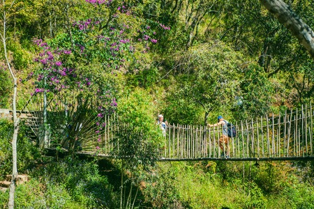 DALAT, VIETNAM - February 17, 2017: Homestay Ma Rung Lu Quan at Da Lat, Lam Dong, Viet Namのeditorial素材