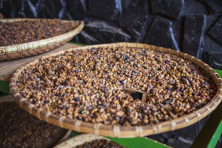 DALAT, VIETNAM - February 17, 2017: Coffee on farm near Da Lat city in Vietnamのeditorial素材