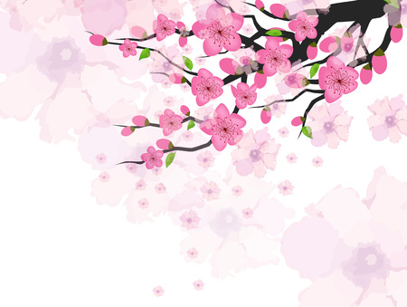 スモモの花の写真 イラスト素材一覧 46 023件 ストックフォトのamanaimages Plus