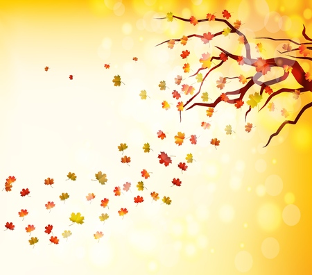 Autumn leaves.のイラスト素材