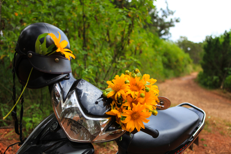 DALAT, 26 October 2017: Road trip ride a motorbike at path of countryside, bush of wild sunflower bloom in yellow, colorful scene in Da Lat, Vietnamのeditorial素材