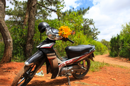DALAT, 26 October 2017: Road trip ride a motorbike at path of countryside, bush of wild sunflower bloom in yellow, colorful scene in Da Lat, Vietnamのeditorial素材