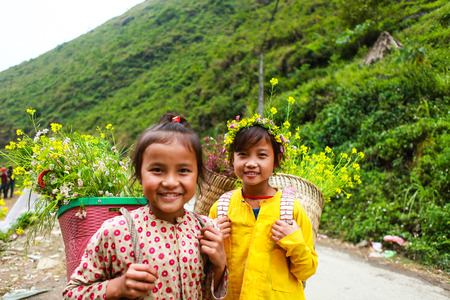 DONG VAN, HA GIANG, VIETNAM, November 14th, 2017: Unidentified ethnic minority kids with baskets of rapeseed flower in Hagiang, Vietnam. Hagiang is a northernmost province in Vietnamのeditorial素材