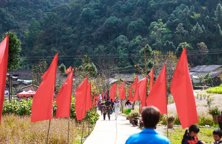 DONG VAN, HA GIANG, VIETNAM, November 14th, 2017: spring on, the simple houses, blooming peach flowers trees, rock plateau where Ha Giang, Vietnam northernmost countryのeditorial素材