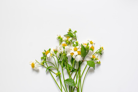Wildflowers decoration isolated on white backgroundの写真素材