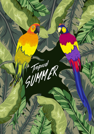 Summer tropical background with parrot, palm and banana leaves.のイラスト素材