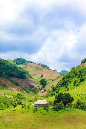 Amazing landscape on Moc Chau highlandの写真素材