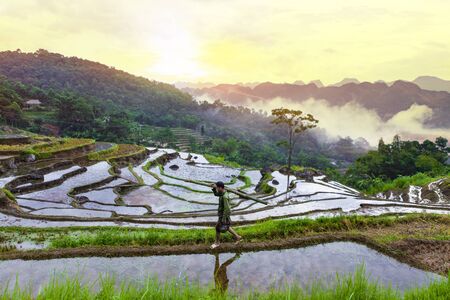PU LUONG, THANH HOA, VIETNAM, July 8th, 2018: Terraced rice field in water season in Pu Luong, Thanh Hoa, Vietnam.のeditorial素材