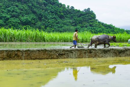 PU LUONG, THANH HOA, VIETNAM, July 8th, 2018: Terraced rice field in water season in Pu Luong, Thanh Hoa, Vietnam.のeditorial素材