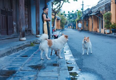 HOI AN, QUANG NAM, VIETNAM, SEPTEMBER 20, 2018: Tourists visit Hoi An ancient town. Hoi An is a popular tourist destination of Asia. Hoi An is recognized as a World Heritage Site by UNESCOのeditorial素材