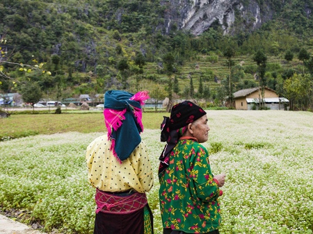 DONG VAN, HA GIANG, VIETNAM, October 20th, 2018: Children of ethnic Hmong in Ha Giang, Vietnam. Ha Giang is home to mostly Hmong liveのeditorial素材