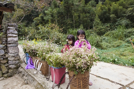 DONG VAN, HA GIANG, VIETNAM, October 20th, 2018: Children of ethnic Hmong in Ha Giang, Vietnam. Ha Giang is home to mostly Hmong liveのeditorial素材
