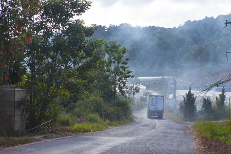 DA LAT, VIETNAM, November 8th, 2018: Vietnamese countryside with wild sunflower bloom in yellow along street, Dalat is city for travel, with beauty landscape, beauty village, wild flowerのeditorial素材