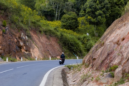 DA LAT, VIETNAM, November 8th, 2018: Vietnamese countryside with wild sunflower bloom in yellow along street, Dalat is city for travel, with beauty landscape, beauty village, wild flowerのeditorial素材