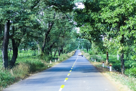 Gia Lai, Vietnam - November 24, 2018: The beautiful road passes through tea farm Gia Lai Province, Vietnamのeditorial素材