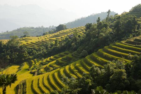 Rice fields on terraced of Khuoi My, Ha Giang province, North Vietnamの写真素材