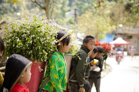 DONG VAN, HA GIANG, VIETNAM, SEPTEMBER 27th, 2019: Unidentified ethnic minority kids with baskets of rapeseed flower in Hagiang, Vietnam. Hagiang is a northernmost province in Vietnamのeditorial素材