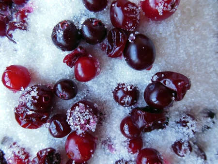 Cranberry berries in sugarの写真素材