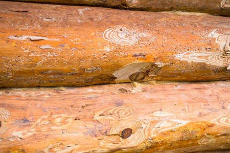 Logs