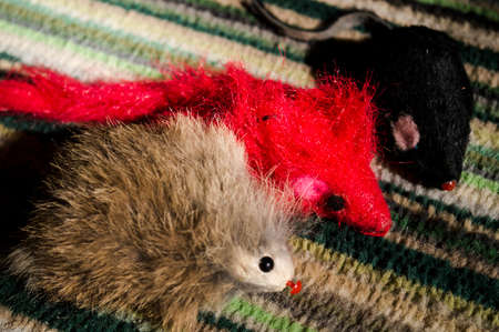 Three mice on a cozy motley rug