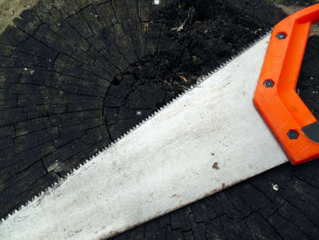 Stub and saw, tree and metalの写真素材
