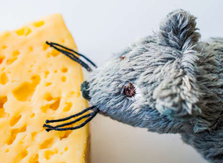 The most tasty cheese and the most cunning mouseの写真素材