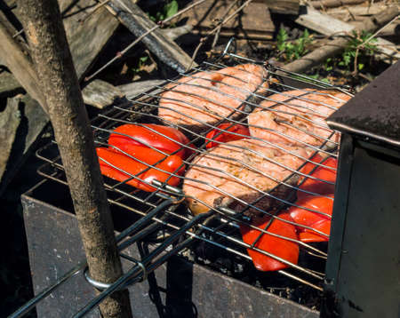 The Norwegian trout on coals, on a lattice