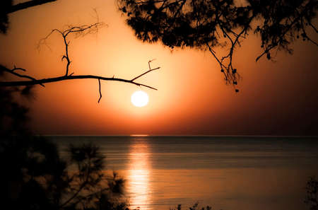 Sunrise over the silent sea against treesの写真素材