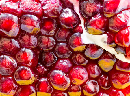 Grains of fresh ripe pomegranate of red colorの写真素材