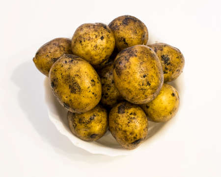 The crude tubers of potatoes in a white dishの写真素材
