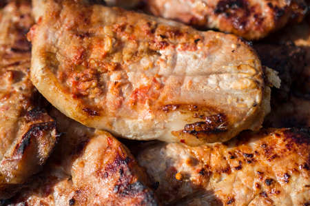 The pork fried on a grill laid out on a dishの写真素材