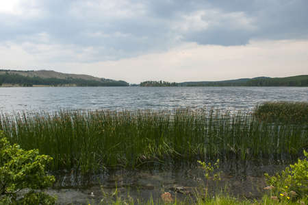 Coast of the big lake in the summer afternoonの写真素材