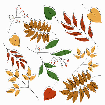 Autumn Leaves Background on White. Perfect for Seasonal Designs and Autumn-themed Projects.のイラスト素材