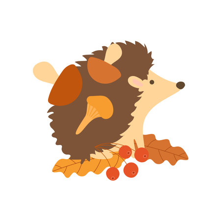 A hedgehog in the autumn forest sits on colorful leaves with berries. An illustration of a hedgehog with leaves in flat style isolated on a white background.のイラスト素材