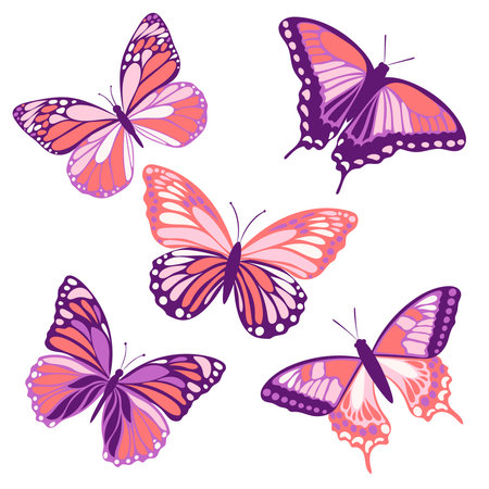 Flying insects, monarch butterfly, creative vintage fill for various designs. A set of pink and purple butterflies isolated on a white background in flat style.のイラスト素材