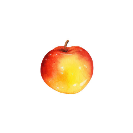 Hand drawn watercolor illustration of apple. Isolated on white background.の素材