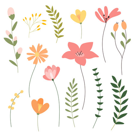 Flowers and plants in color to decorate different designs. A collection of flowers, a botanical arrangement for weddings in color isolated on a white background.のイラスト素材