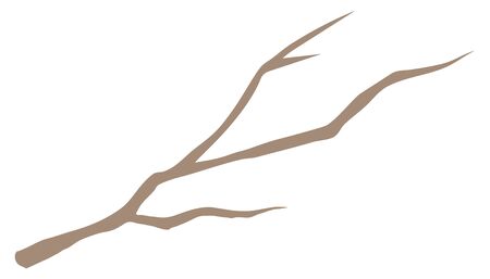 Tree branch isolated vector illustrationのイラスト素材