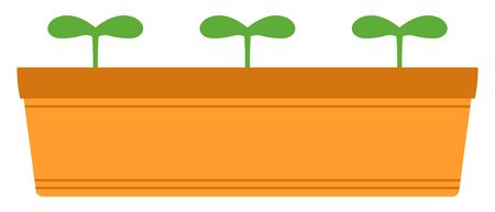 Vector image of three green sprouts growing in orange planter.のイラスト素材
