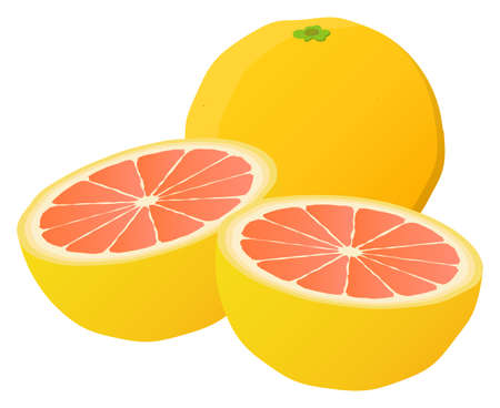 Pink grapefruit isolated vector illustrationのイラスト素材