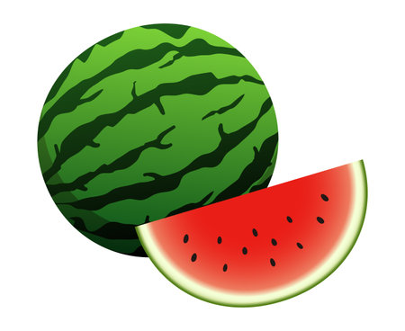 Cut watermelons isolated vector illustration.のイラスト素材