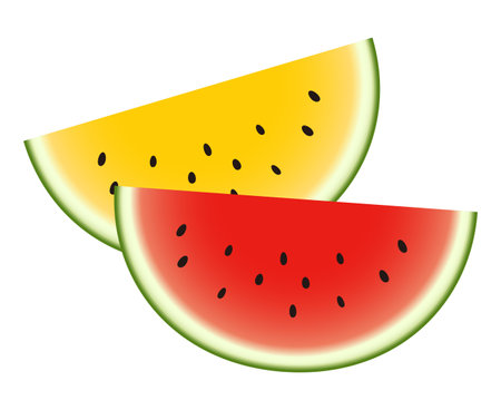 Cut watermelons isolated vector illustration.のイラスト素材