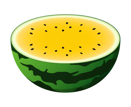 Cut watermelon isolated vector illustration.のイラスト素材
